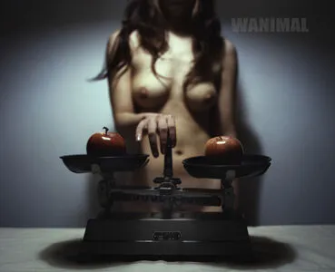 Wanimal Models OnlyFans Leaked Free Thumbnail Picture - #jBBqoQ9806