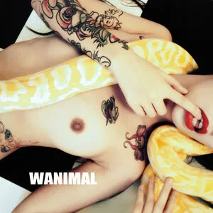 Wanimal Models OnlyFans Leaked Free Thumbnail Picture - #m9N0dmEWu1