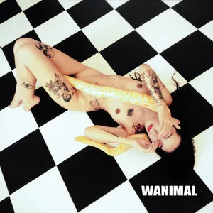 Wanimal Models OnlyFans Leaked Free Thumbnail Picture - #p1o5i7GQ88