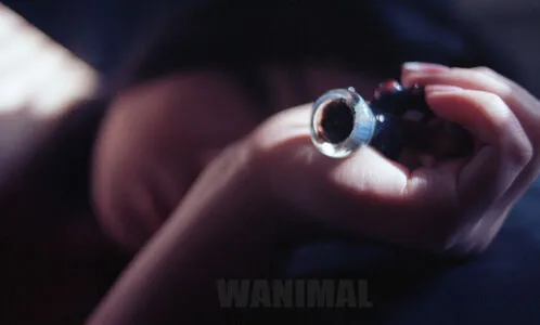Wanimal Models OnlyFans Leaked Free Thumbnail Picture - #pA2RKoL5T9