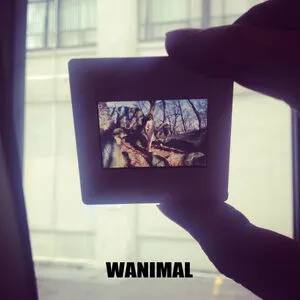 Wanimal Models OnlyFans Leaked Free Thumbnail Picture - #sK00XFANpB