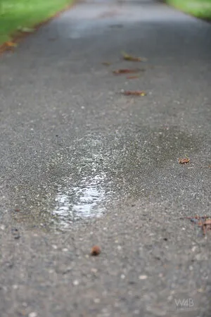 Watch4beauty Com OnlyFans Leaked Free Thumbnail Picture - #zlcNaFYhUj