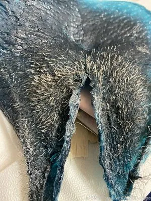 Waxdayspa OnlyFans Leaked Free Thumbnail Picture - #aCMVQg2vfu