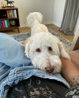 Wellbeingwithabigail OnlyFans Leaked Free Thumbnail Picture - #1MqzxSn9Vu