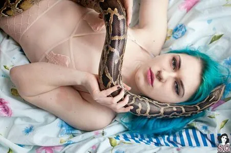 Whatsherfaceagain OnlyFans Leaked Free Thumbnail Picture - #BEHRPZvRA5