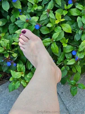 Whisperingwings OnlyFans Leaked Free Thumbnail Picture - #B5Sd6r3qqa