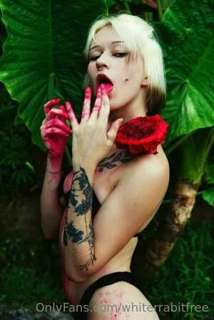 Whiterrabitfree OnlyFans Leaked Free Thumbnail Picture - #PdJ4kfwFh3