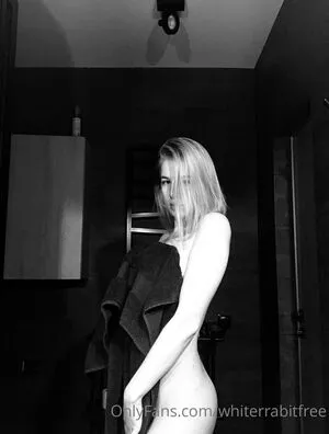 Whiterrabitfree OnlyFans Leaked Free Thumbnail Picture - #oPzwkAWLXC
