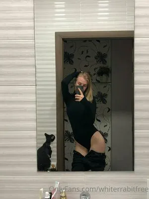 Whiterrabitfree OnlyFans Leaked Free Thumbnail Picture - #wv031wmiKu