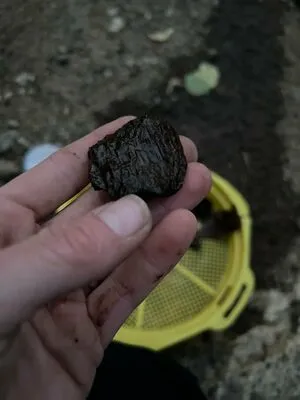 Whoopsiidaisy OnlyFans Leaked Free Thumbnail Picture - #aEP0K8UNrO