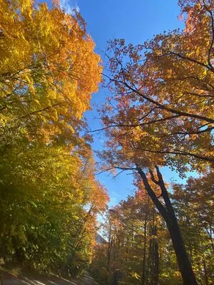 Whoopsiidaisy OnlyFans Leaked Free Thumbnail Picture - #eBHY3qT2Vv