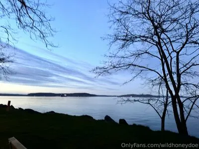 Wildhoneydoe OnlyFans Leaked Free Thumbnail Picture - #Ig5AvhMYcB