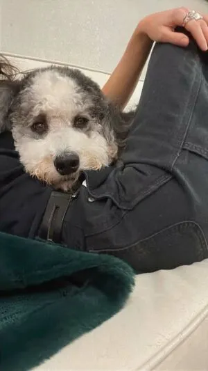 Willow Shields OnlyFans Leaked Free Thumbnail Picture - #6gCtaj80vK