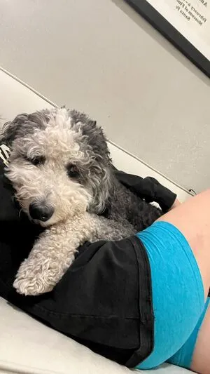 Willow Shields OnlyFans Leaked Free Thumbnail Picture - #UHgkaJqGGk