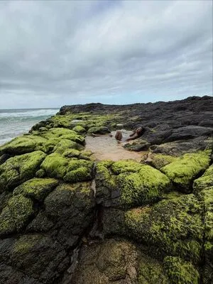 Willow Smith OnlyFans Leaked Free Thumbnail Picture - #aQoBP5jy7W