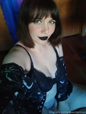 Willowchantrieri OnlyFans Leaked Free Thumbnail Picture - #epeuu6GI4A