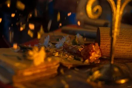 Witcher Women OnlyFans Leaked Free Thumbnail Picture - #R2WRD5gfXi