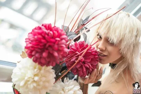 Witchy Pixie OnlyFans Leaked Free Thumbnail Picture - #384QyGT1Dd