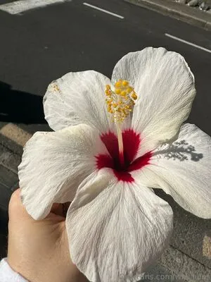 Wm Jules OnlyFans Leaked Free Thumbnail Picture - #IBBcdHnODW