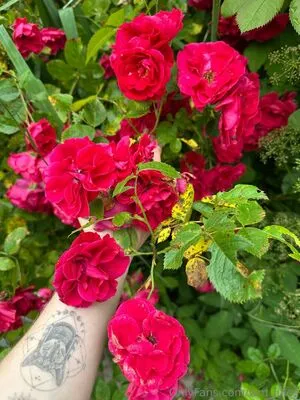 Wm Jules OnlyFans Leaked Free Thumbnail Picture - #oPP8qBPQZv