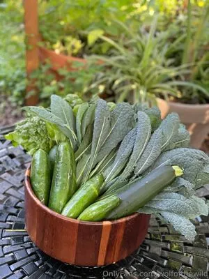 Wolfofthewild OnlyFans Leaked Free Thumbnail Picture - #DPbLtAE4rv