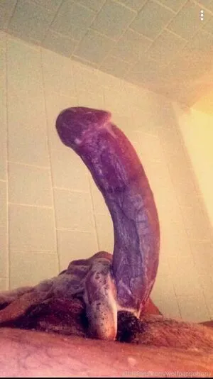 Wolfpaccjohnny OnlyFans Leaked Free Thumbnail Picture - #DsJSspMuOK