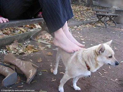 Worldoffeet OnlyFans Leaked Free Thumbnail Picture - #qwS4m9VdRv