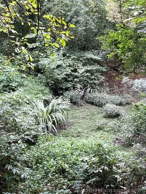 Xaevra OnlyFans Leaked Free Thumbnail Picture - #1szs4aHBqF