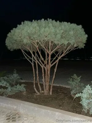 Xaevra OnlyFans Leaked Free Thumbnail Picture - #WSRPtyr7bf