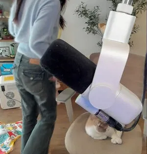 Xchocobars OnlyFans Leaked Free Thumbnail Picture - #R39FTO780i