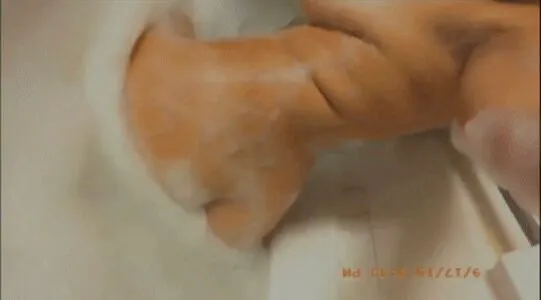 Xdudeitskat OnlyFans Leaked Free Thumbnail Picture - #2349bSNPES