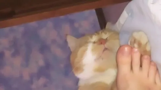 Xenaex OnlyFans Leaked Free Thumbnail Picture - #xZKx1dI4Om