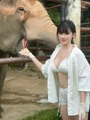 Xiianger Amy OnlyFans Leaked Free Thumbnail Picture - #tdTt9DZP3O