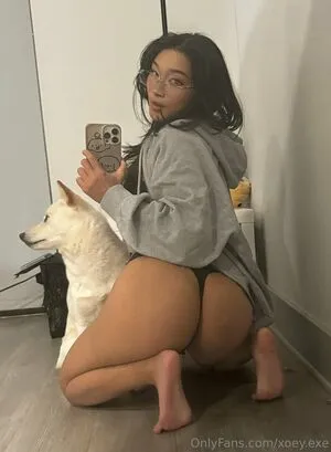 Xoey Exe OnlyFans Leaked Free Thumbnail Picture - #KY5NOrkjSa