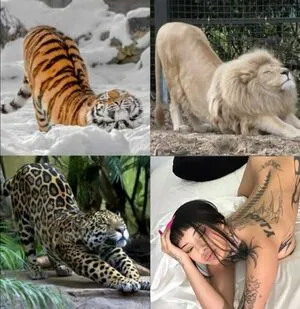 Xoxobabeval OnlyFans Leaked Free Thumbnail Picture - #pw8wuHAHZ1