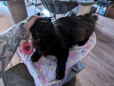 Xthefragile OnlyFans Leaked Free Thumbnail Picture - #5mUP1kzC0L