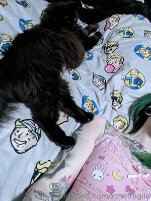 Xthefragile OnlyFans Leaked Free Thumbnail Picture - #T4BNrOLOkn