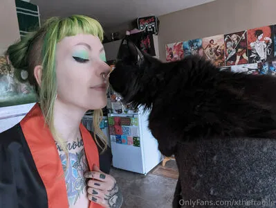 Xthefragile OnlyFans Leaked Free Thumbnail Picture - #Zs62Tvorrr