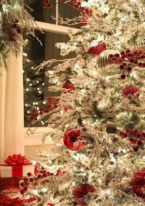 Xxbellaxx11 OnlyFans Leaked Free Thumbnail Picture - #7BjBUqglhk