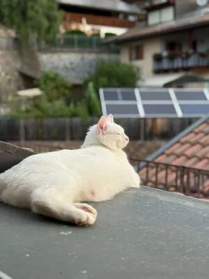 Xxblakebailey OnlyFans Leaked Free Thumbnail Picture - #GSdSbDSwWd