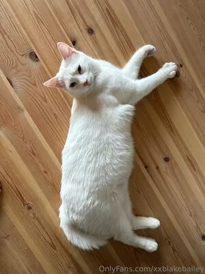 Xxblakebailey OnlyFans Leaked Free Thumbnail Picture - #Lca0x0hZEP