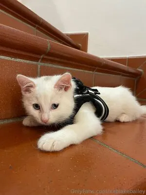 Xxblakebailey OnlyFans Leaked Free Thumbnail Picture - #f3c0ph8OS0