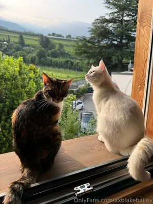 Xxblakebailey OnlyFans Leaked Free Thumbnail Picture - #pAA27ShKXD