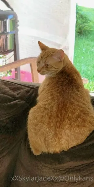 Xxskylarjaydexx OnlyFans Leaked Free Thumbnail Picture - #2RIfGglMil