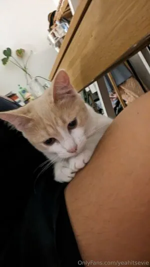 Yeahitsevie OnlyFans Leaked Free Thumbnail Picture - #Ca9ykGGO2a