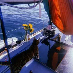 Your Bush Queen OnlyFans Leaked Free Thumbnail Picture - #8He4lZcOJV