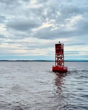 Your Bush Queen OnlyFans Leaked Free Thumbnail Picture - #9l6BhraKGF