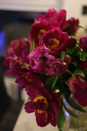 Yourpussy007 OnlyFans Leaked Free Thumbnail Picture - #uiN0qOuEJM