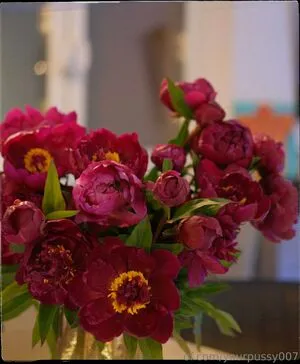 Yourpussy007 OnlyFans Leaked Free Thumbnail Picture - #wRUMAuyRMi