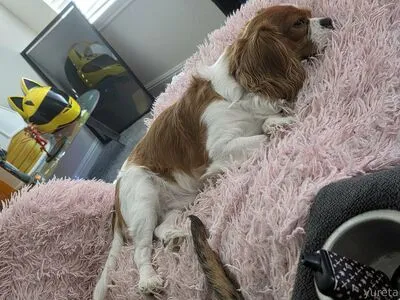 Yureta2 OnlyFans Leaked Free Thumbnail Picture - #SQseUCECq7